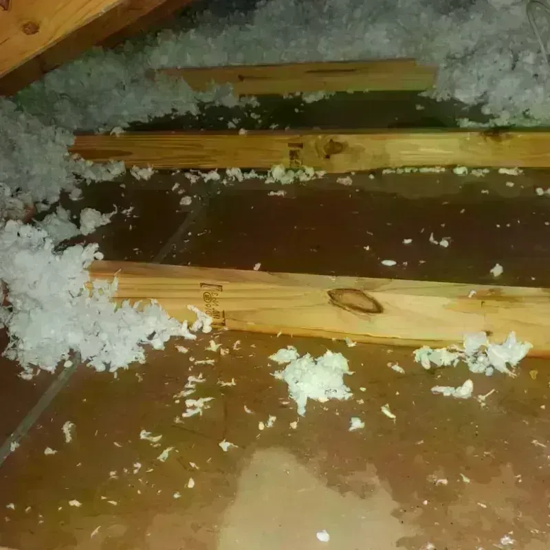 Attic Water Damage in East Wenatchee Bench, WA